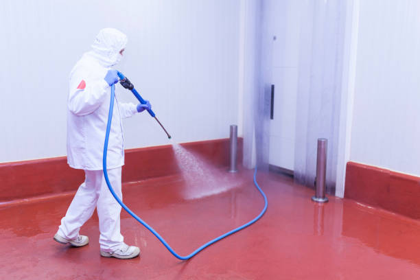 Best Driveway Pressure Washing  in Park Ridge, NJ